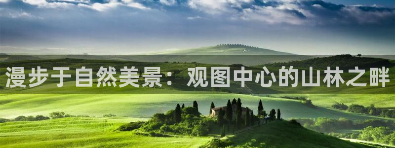 摩根娱乐宝官网百度