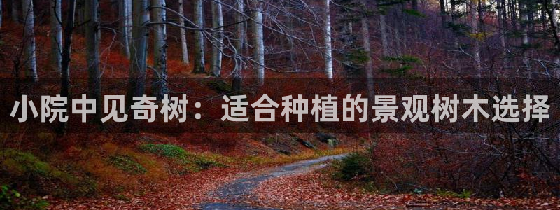 摩根娱乐信益怎么样