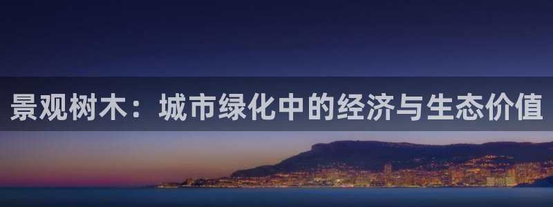 福建泉州白宫摩根会娱乐