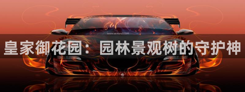 摩根娱乐包是什么意思