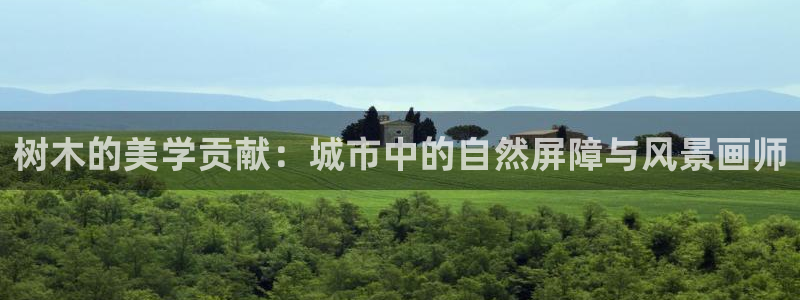 摩根娱乐宝：树木的美学贡献：城市中的自然屏障与风景画师