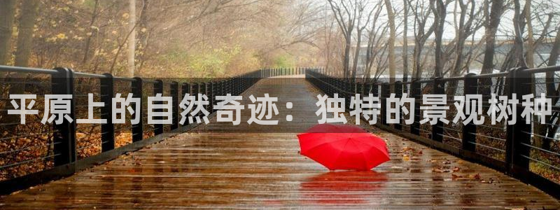 摩根中央公园娱乐：平原上的自然奇迹：独特的景观树种