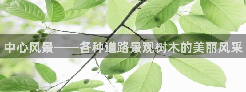 摩根大通狮门娱乐目标价