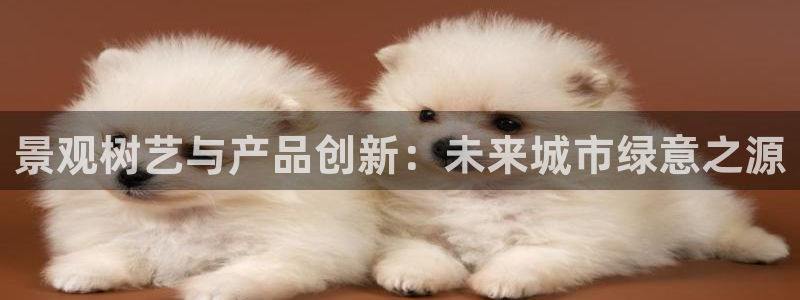 柬埔寨西港摩根娱乐：景观树艺与产品创新：未来城市绿意之源