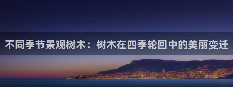 摩根士丹利娱乐银行