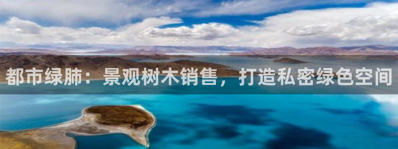 摩根娱乐 总s管50015