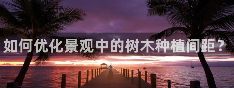 摩根娱乐挂机项目有哪些