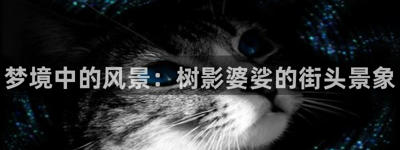 摩根大通黄金娱乐目标价：梦境中的风景：树影婆娑的街头景象