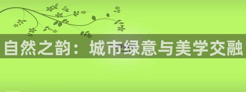 泉州摩根会娱乐有限责任公司管理