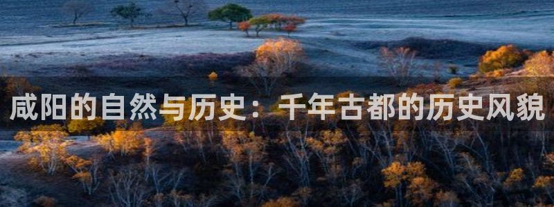 摩根娱乐宝微信客服