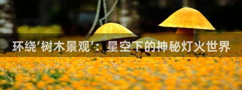 义乌摩根娱乐会所老板