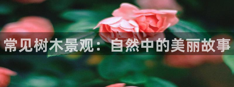 摩根娱乐1老o板50820