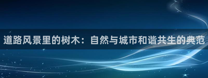 摩根娱乐宝账户