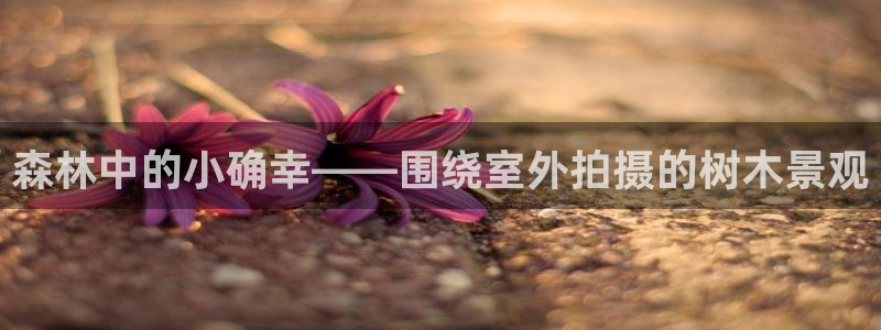 摩根娱乐帐7O777