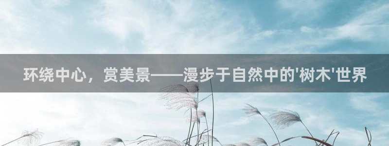 深圳摩根时代娱乐公司