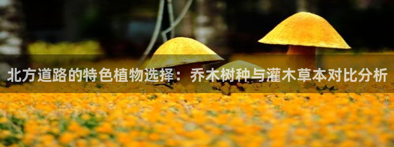 摩根娱乐宝总部招商
