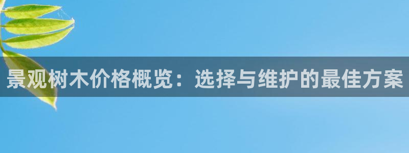 义务摩根娱乐会所：景观树木价格概览：选择与维护的最佳方案