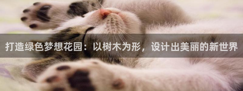 摩根国际娱乐宝