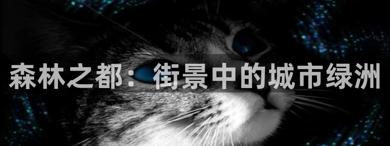 摩根大通黄金娱乐