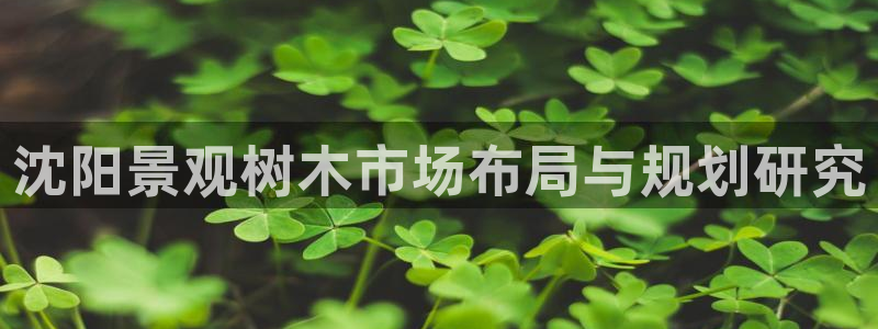 摩根娱乐 实c力77310