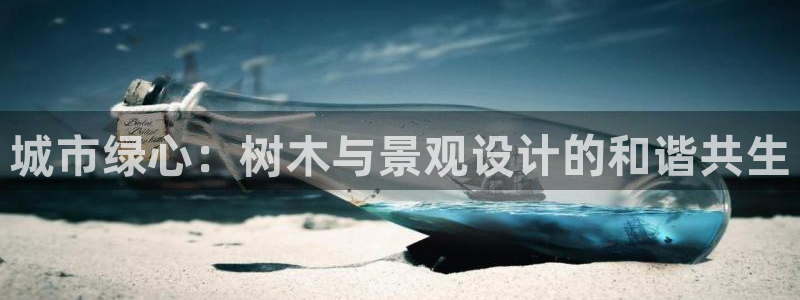 华视娱乐摩根王琛