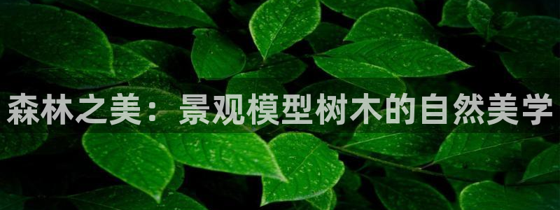 义乌摩根娱乐会所老板