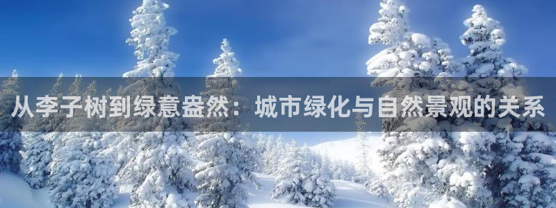 柬埔寨西港摩根娱乐