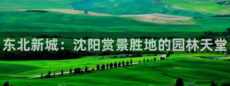 摩根娱乐宝是诈骗吗