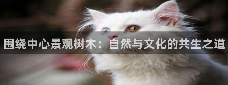 摩根娱乐 股s东50015