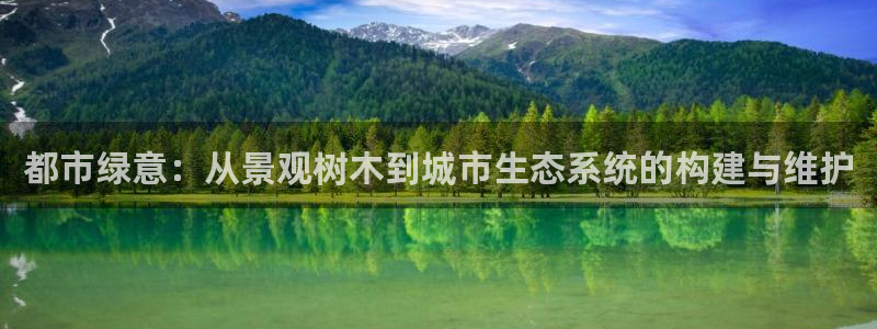 摩根娱乐app