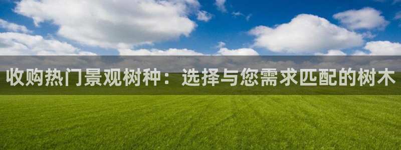 摩根娱乐宝是骗局