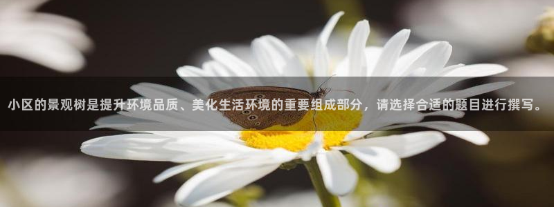 摩根娱乐宝吧