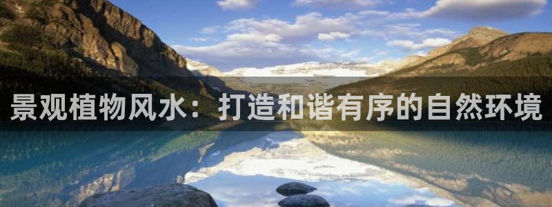 摩根娱乐宝怎么进入