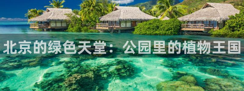 摩根国际娱乐宝官网下载：北京的绿色天堂：公园里的植物王国