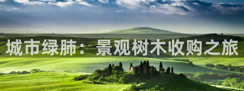 下载摩根娱乐宝：城市绿肺：景观树木收购之旅