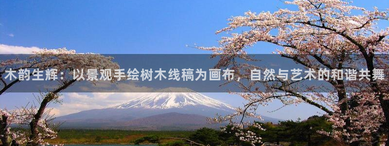 摩根国际娱乐宝进不去