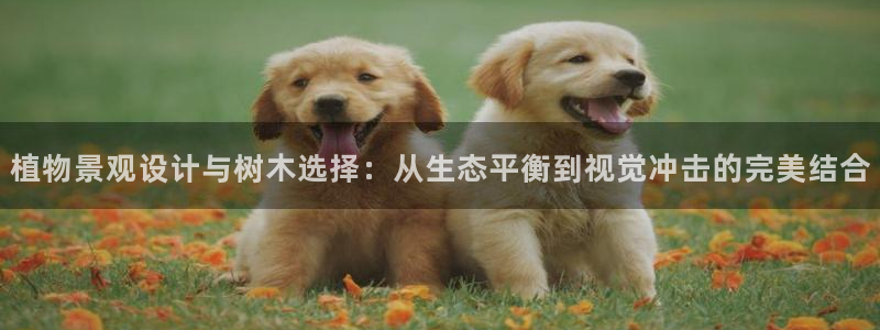 摩根娱乐公司