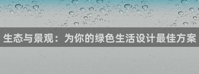 摩根娱乐彩票挂机