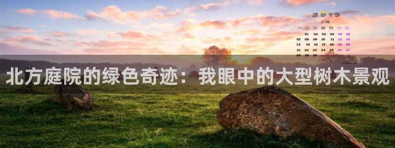 泉州摩根会娱乐保安招聘:北方庭院的绿色奇迹:我眼中的大型树木景观