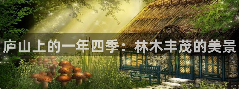 摩根娱乐50186选择