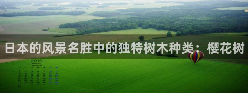 摩根娱乐公司