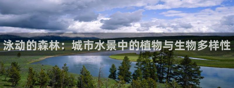主角是摩根家族的娱乐文