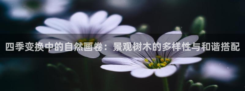摩根娱乐宝登陆网址