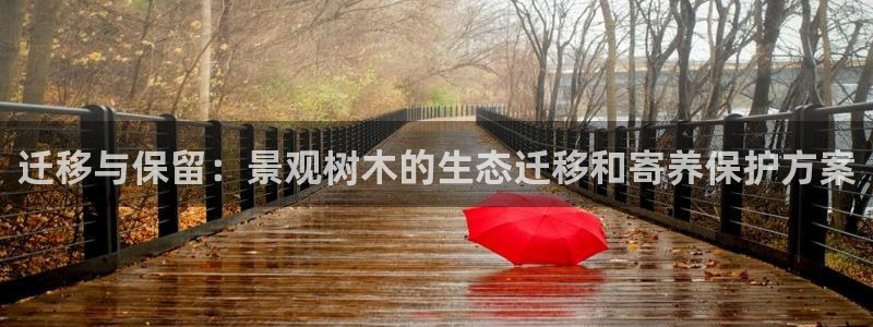 摩根国际娱乐宝合法吗