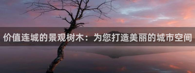 摩根娱乐套路