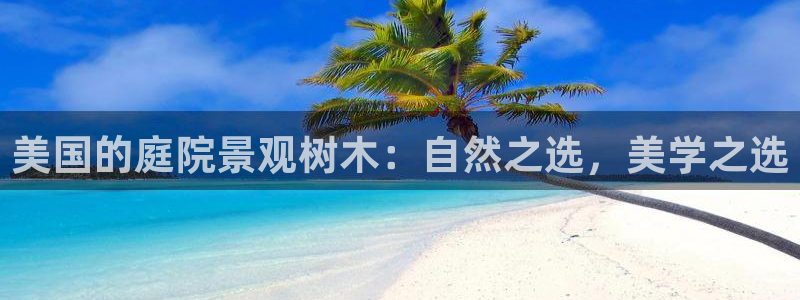 摩根娱乐骗局