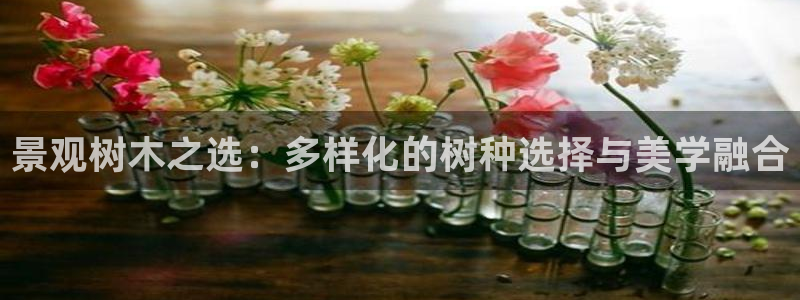 摩根娱乐宝可靠吗