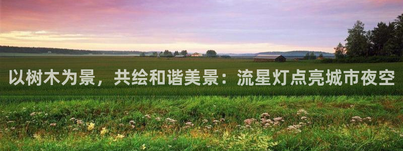摩根娱乐团:以树木为景,共绘和谐美景:流星灯点亮城市夜空