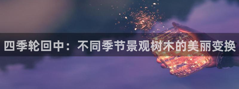 摩根娱乐包是什么:四季轮回中:不同季节景观树木的美丽变换