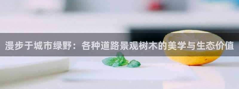 摩根国际 亚太 娱乐宝
